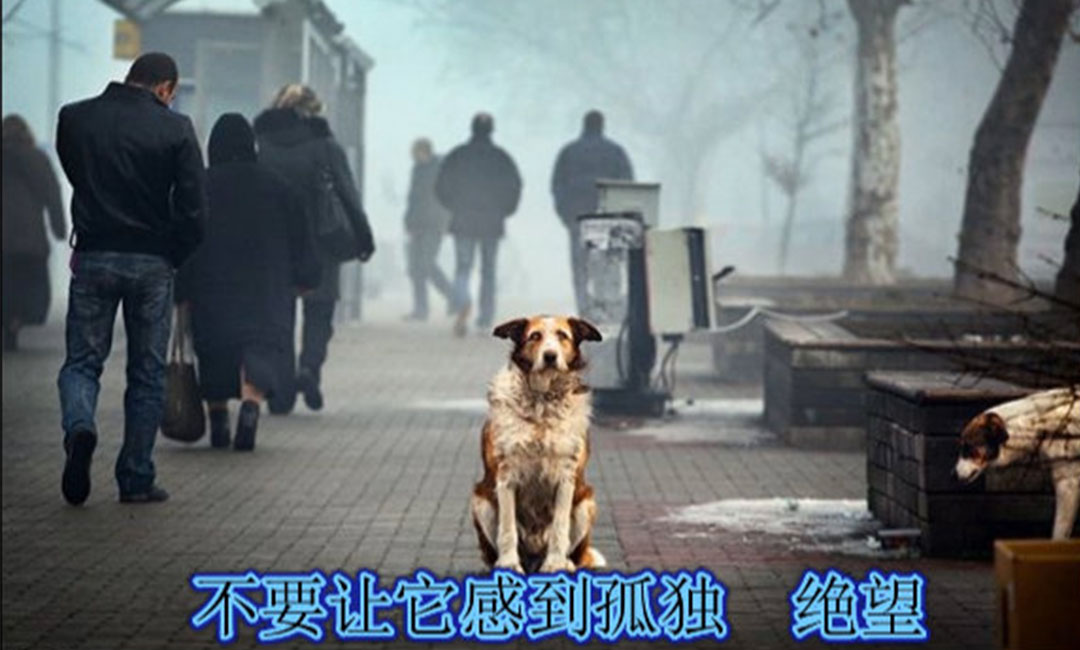 江西江西爱影圈微博微信转发案例